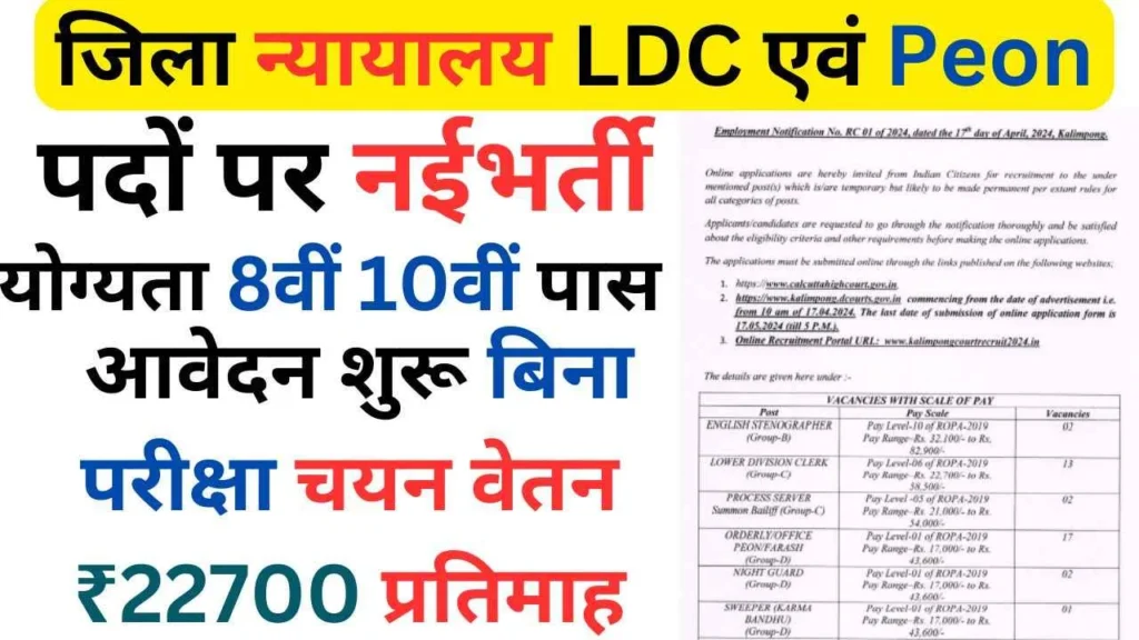 District Court LDC and Peon Vacancy